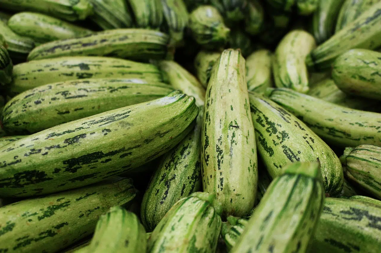 courgette