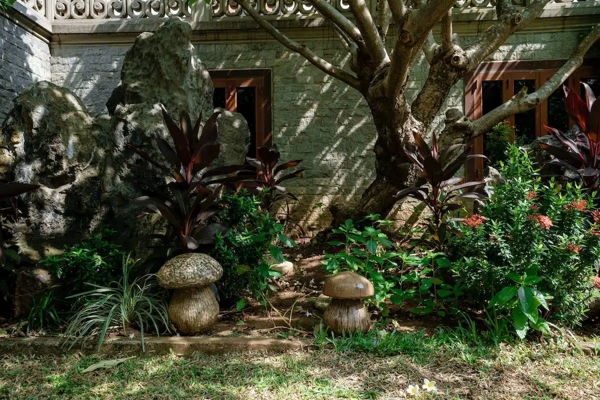 jardin décorations