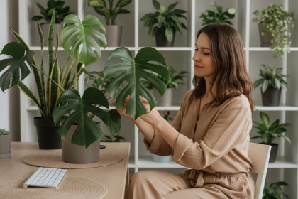 Femme concentrée à son bureau avec plante verte